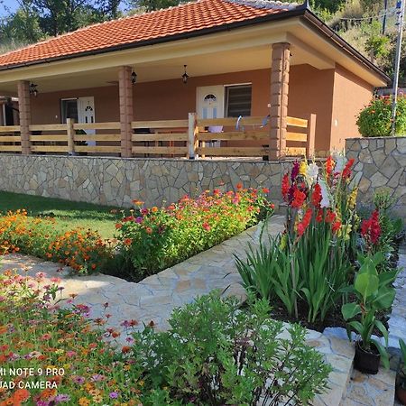 Vila Vera Borsko Jezero Εξωτερικό φωτογραφία