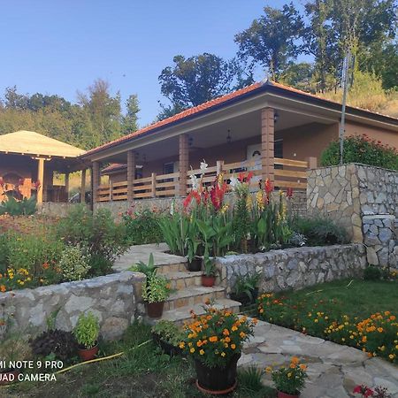 Vila Vera Borsko Jezero Εξωτερικό φωτογραφία