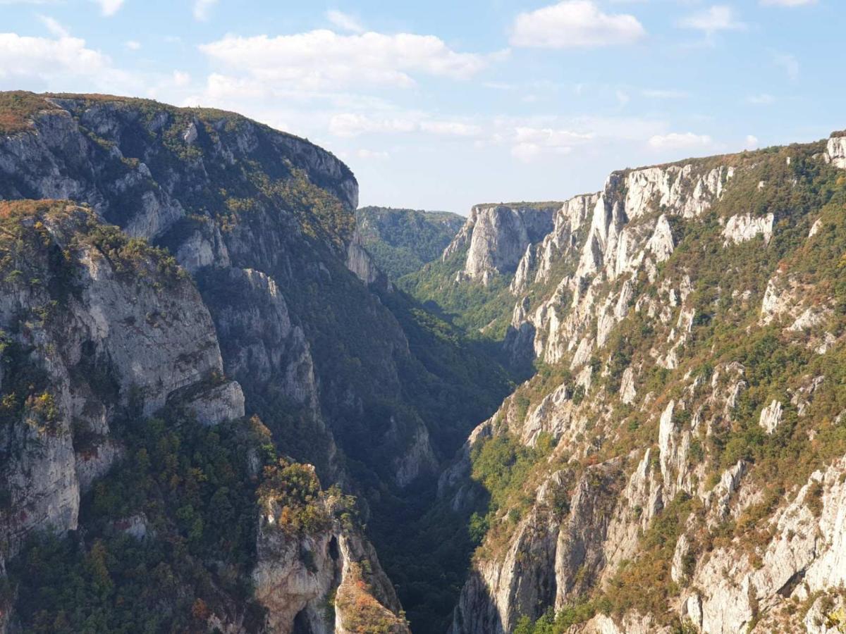 Vila Vera Borsko Jezero Εξωτερικό φωτογραφία