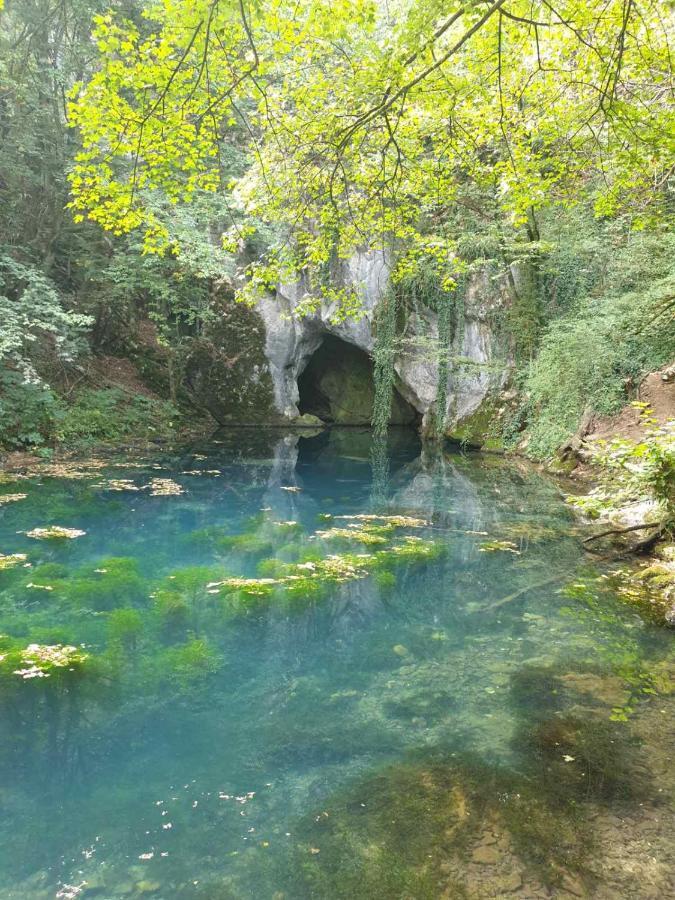Vila Vera Borsko Jezero Εξωτερικό φωτογραφία
