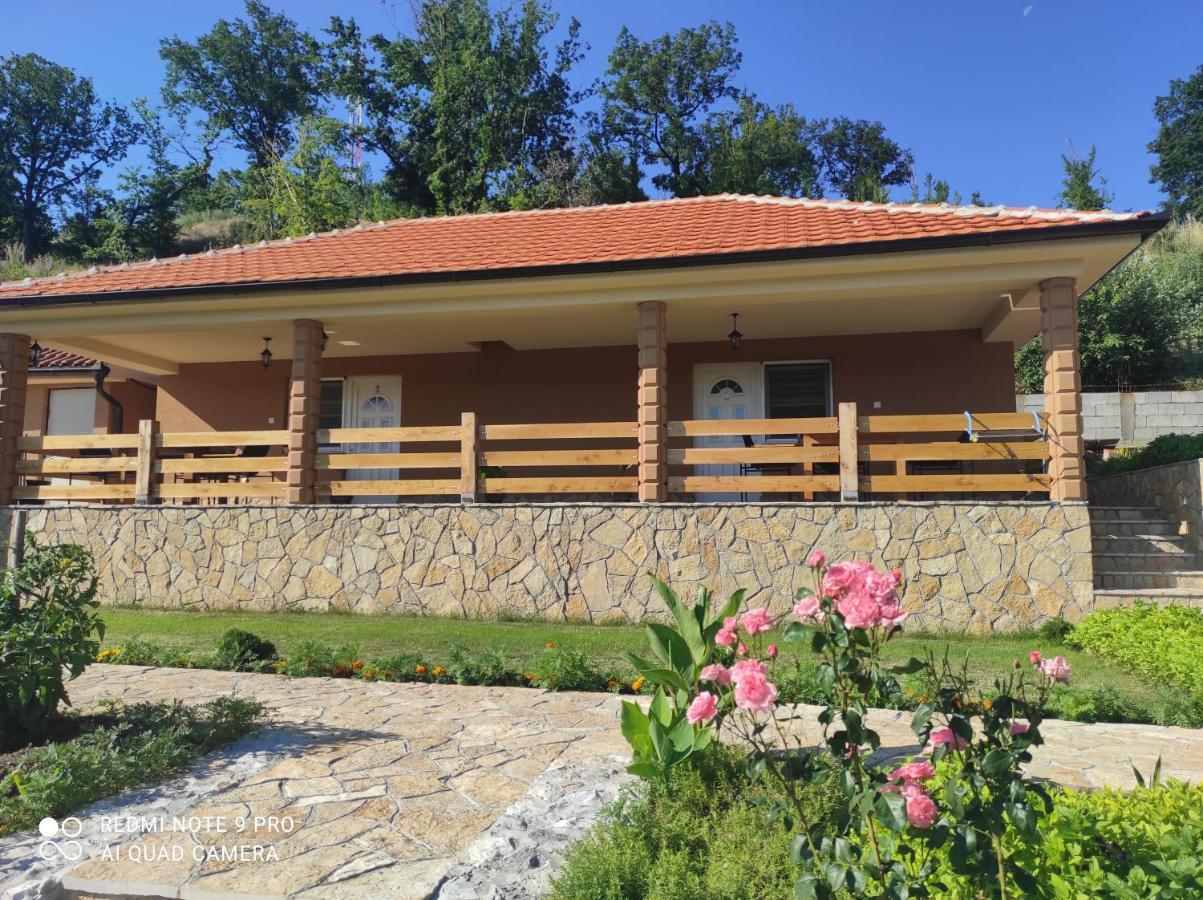 Vila Vera Borsko Jezero Εξωτερικό φωτογραφία