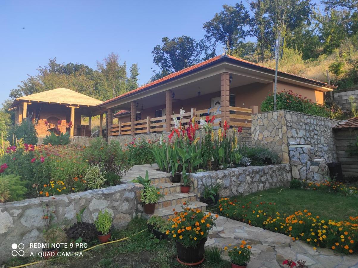 Vila Vera Borsko Jezero Εξωτερικό φωτογραφία